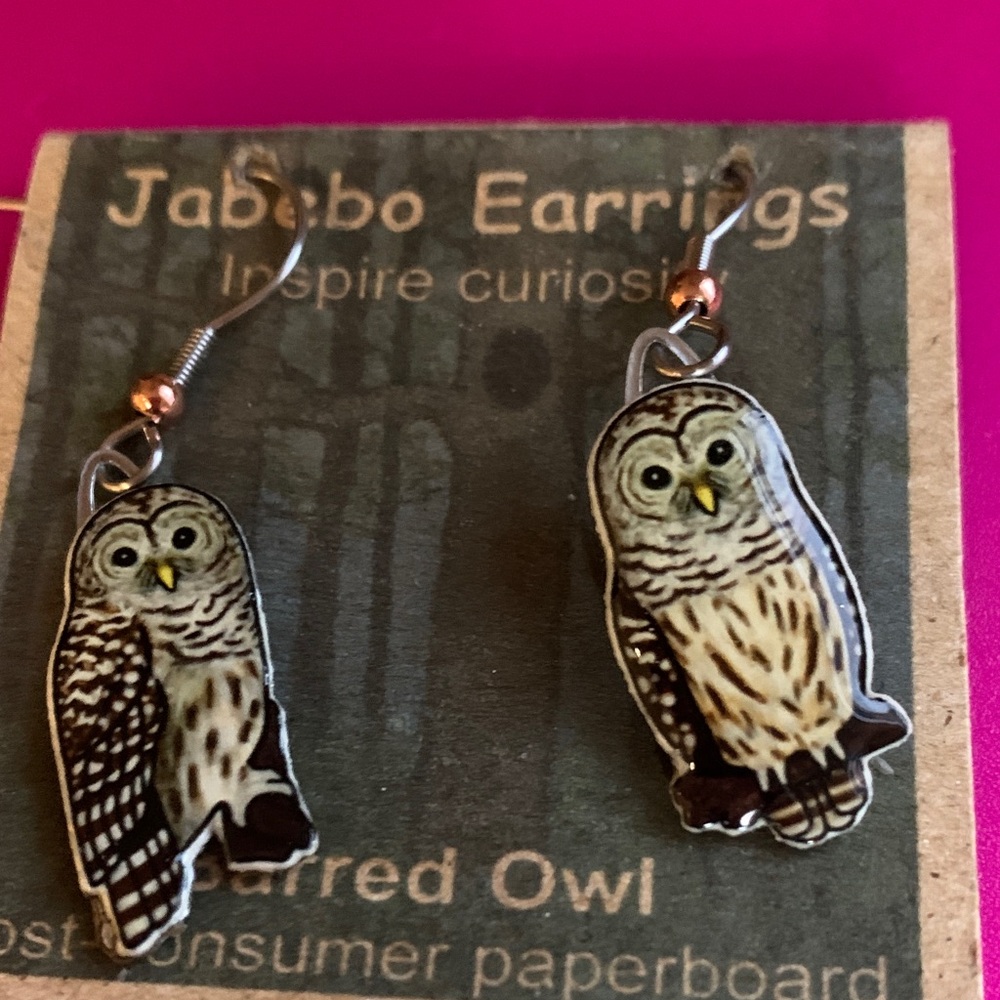 Barred Owl Earrings - Black and White